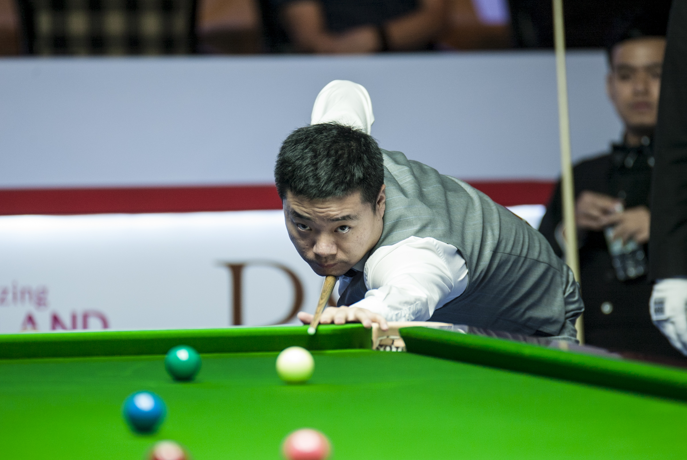 这些特质无 这些特质无