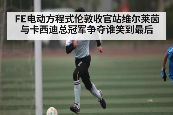 FE电动方程式伦敦收官站维尔莱茵与卡西迪总冠军争夺谁笑到最后